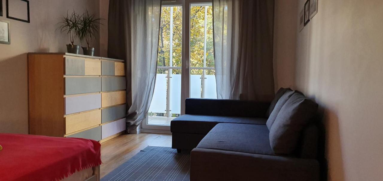 Apartament Locativus Czysta *